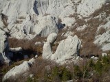 06. Jagin kuk